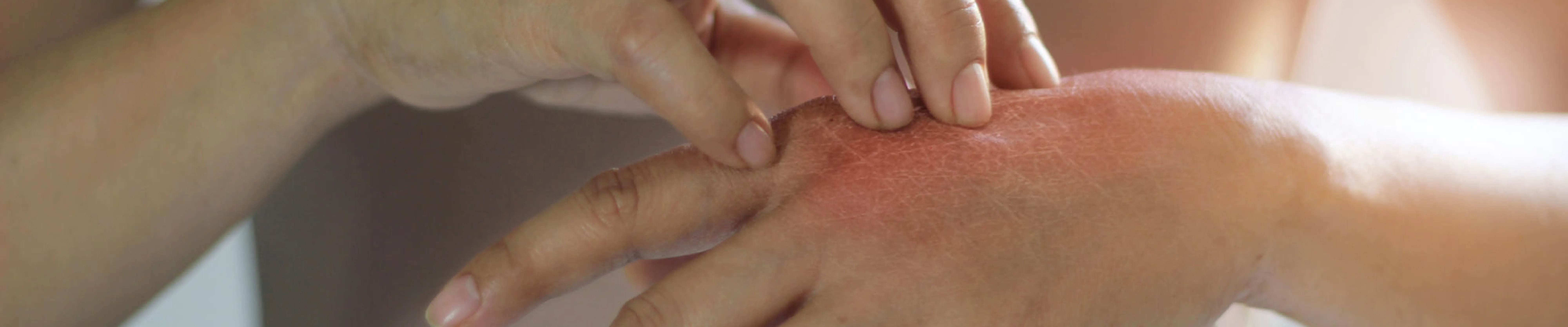 carpet cleaning in new jersey, carpet cleaning new jersey, carpet cleaners in new jersey, carpet cleaners in new jersey, commercial carpet cleaning, commercial carpet cleaning in new jersey, new jersey rug cleaners, rug cleaning services in new jersey, same day carpet cleaning, same day rug cleaning in new jersey, carpet cleaning in nj, carpet cleaning nj, carpet cleaners in nj, carpet cleaners in nj, commercial carpet cleaning, commercial carpet cleaning in nj, nj rug cleaners, rug cleaning services in nj, same day carpet cleaning, same day rug cleaning in nj