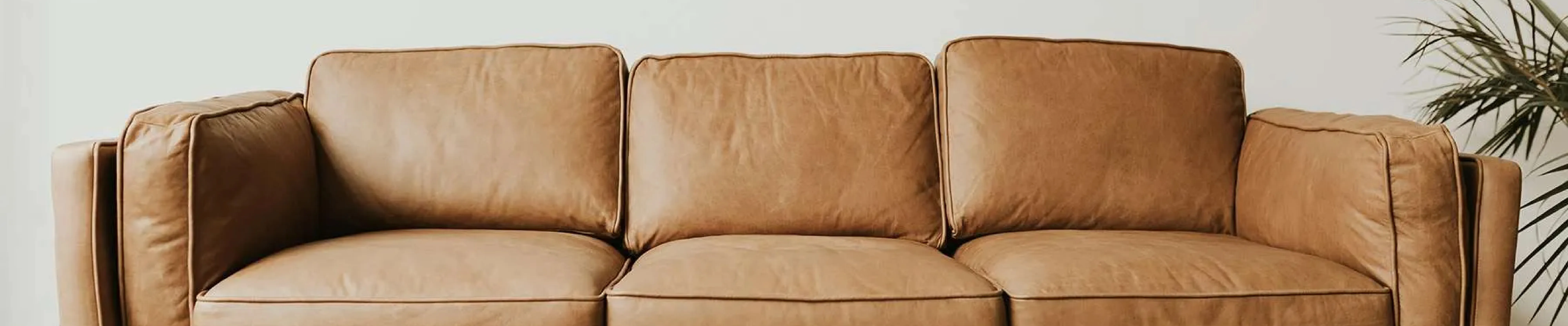 carpet cleaning in new jersey, carpet cleaning new jersey, carpet cleaners in new jersey, carpet cleaners in new jersey, commercial carpet cleaning, commercial carpet cleaning in new jersey, new jersey rug cleaners, rug cleaning services in new jersey, same day carpet cleaning, same day rug cleaning in new jersey, carpet cleaning in nj, carpet cleaning nj, carpet cleaners in nj, carpet cleaners in nj, commercial carpet cleaning, commercial carpet cleaning in nj, nj rug cleaners, rug cleaning services in nj, same day carpet cleaning, same day rug cleaning in nj