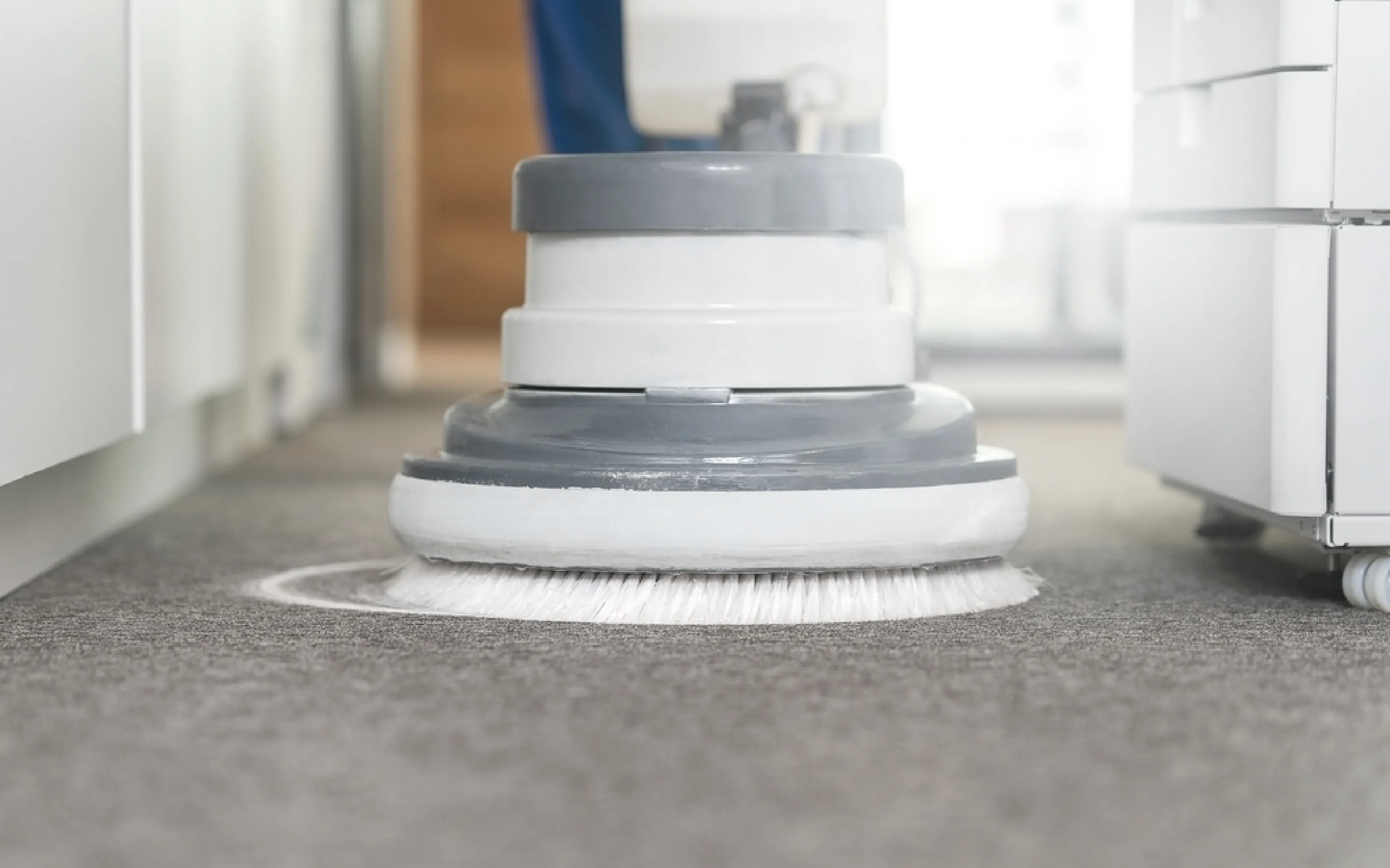 carpet cleaning in new jersey, carpet cleaning new jersey, carpet cleaners in new jersey, carpet cleaners in new jersey, commercial carpet cleaning, commercial carpet cleaning in new jersey, new jersey rug cleaners, rug cleaning services in new jersey, same day carpet cleaning, same day rug cleaning in new jersey, carpet cleaning in nj, carpet cleaning nj, carpet cleaners in nj, carpet cleaners in nj, commercial carpet cleaning, commercial carpet cleaning in nj, nj rug cleaners, rug cleaning services in nj, same day carpet cleaning, same day rug cleaning in nj