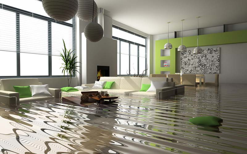 carpet cleaning in new jersey, carpet cleaning new jersey, carpet cleaners in new jersey, carpet cleaners in new jersey, commercial carpet cleaning, commercial carpet cleaning in new jersey, new jersey rug cleaners, rug cleaning services in new jersey, same day carpet cleaning, same day rug cleaning in new jersey, carpet cleaning in nj, carpet cleaning nj, carpet cleaners in nj, carpet cleaners in nj, commercial carpet cleaning, commercial carpet cleaning in nj, nj rug cleaners, rug cleaning services in nj, same day carpet cleaning, same day rug cleaning in nj